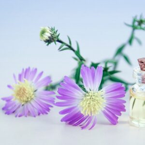 Formation Continue - ENH - Ecole de Nutrition Holistique - Geneve - Introduction à la galénique et phytothérapie